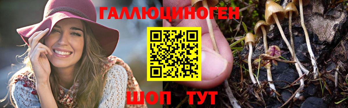Псилоцибиновые грибы MAGIC MUSHROOMS  Галлюциногенные грибы Psilocybe  Вход с VPN  Канаш 