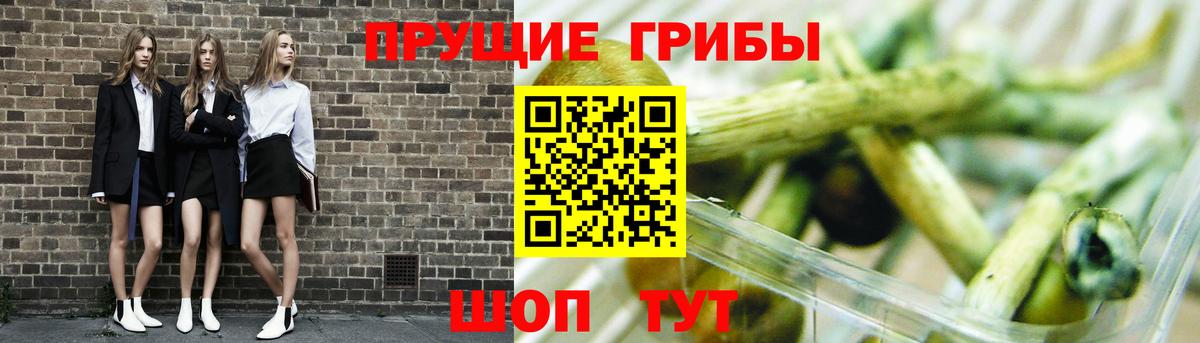 Галлюциногенные грибы Psilocybine cubensis Канаш